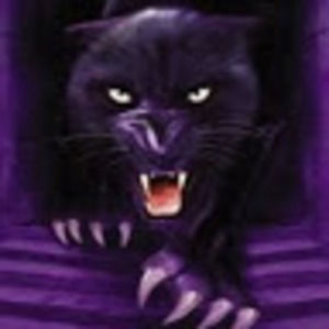 Meet your Posher, Gabriel